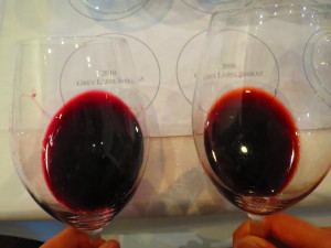 Learning to assess wines and valuable lessons
